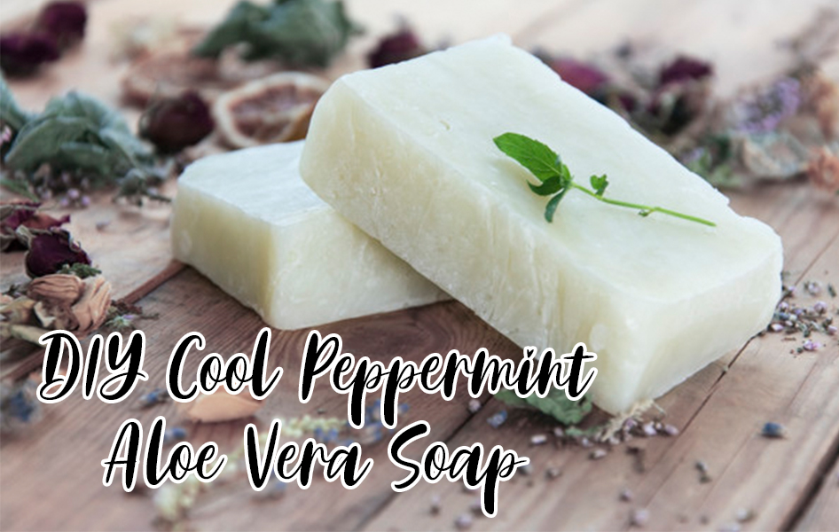 DIY Cool Peppermint Aloe Vera Soap